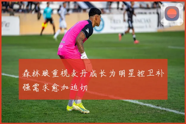 森林狼重视麦丹成长为明星控卫补强需求愈加迫切