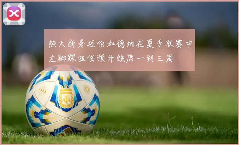 热火新秀迈伦加德纳在夏季联赛中左脚踝扭伤预计缺席一到三周