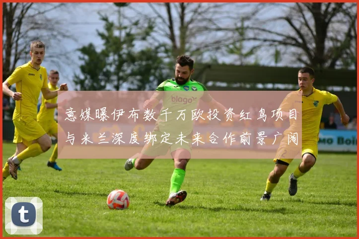 意媒曝伊布数千万欧投资红鸟项目与米兰深度绑定未来合作前景广阔